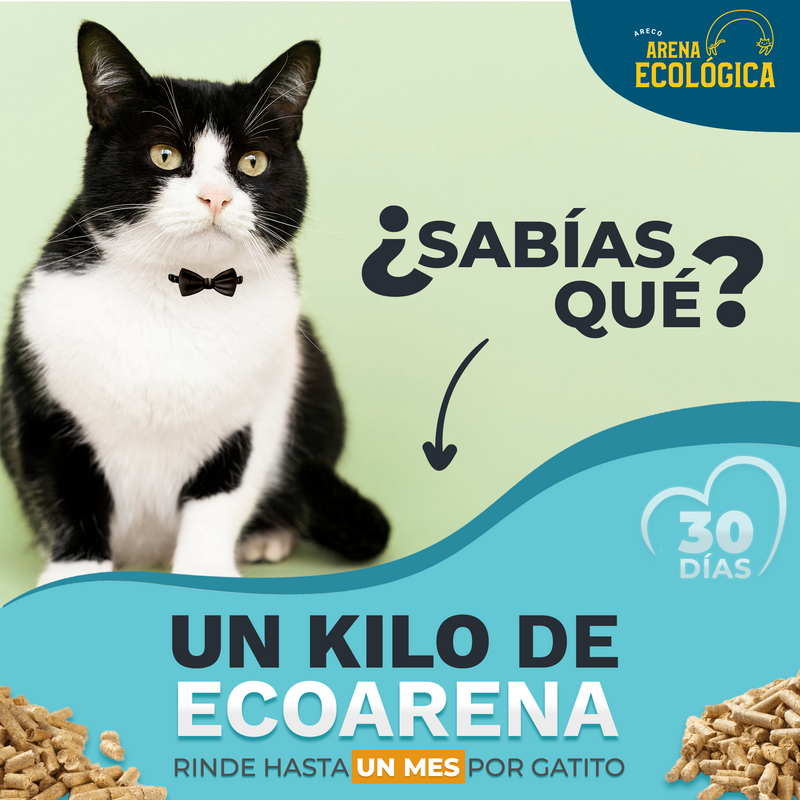 Bulto 20 kg